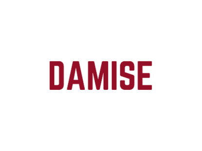 DAMISE BİLİŞİM HİZMETLERİ ANONİM ŞİRKETİ