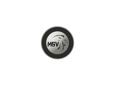 MESAV KALIP SANAYİ VE MÜHENDİSLİK HİZMETLERİ LTD. ŞTİ.